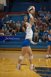 Volleyball Brevard at West Henderson (BR3_4121)