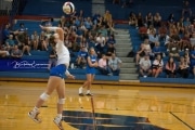 Volleyball Brevard at West Henderson (BR3_4135)