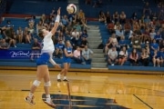 Volleyball Brevard at West Henderson (BR3_4137)