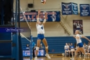 Volleyball Brevard at West Henderson (BR3_4345)