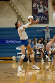 Volleyball Brevard at West Henderson (BR3_4396)