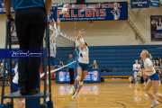 Volleyball Brevard at West Henderson (BR3_4452)