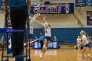 Volleyball Brevard at West Henderson (BR3_4454)