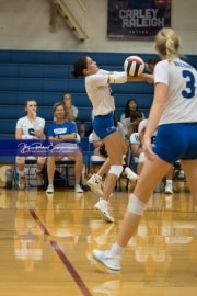 Volleyball Brevard at West Henderson (BR3_4484)