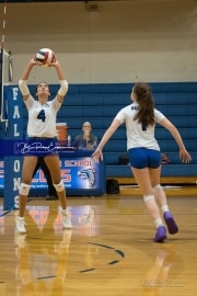 Volleyball Brevard at West Henderson (BR3_4523)