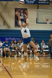 Volleyball Brevard at West Henderson (BR3_4534)