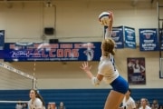 Volleyball Brevard at West Henderson (BR3_4537)