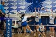 Volleyball Brevard at West Henderson (BR3_4572)