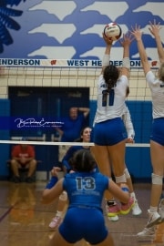 Volleyball Brevard at West Henderson (BR3_4596)