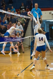Volleyball Brevard at West Henderson (BR3_4709)