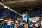 Volleyball Brevard at West Henderson (BR3_4763)