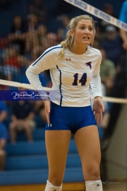 Volleyball Brevard at West Henderson (BR3_4779)