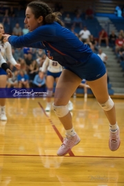 Volleyball Brevard at West Henderson (BR3_4946)