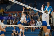 Volleyball Brevard at West Henderson (BR3_5048)
