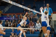 Volleyball Brevard at West Henderson (BR3_5050)