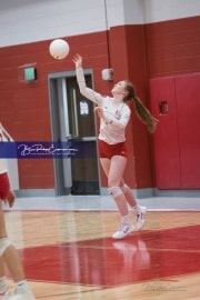 Volleyball: West Henderson at Hendersonville (BR3_9068)