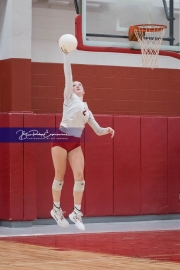Volleyball: West Henderson at Hendersonville (BR3_9387)
