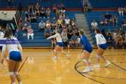 Volleyball: North Henderson at West Henderson (BR3_0178)