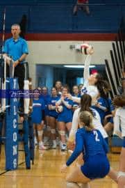 Volleyball: North Henderson at West Henderson (BR3_0221)
