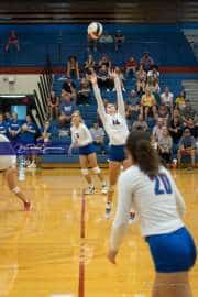 Volleyball: North Henderson at West Henderson (BR3_0234)
