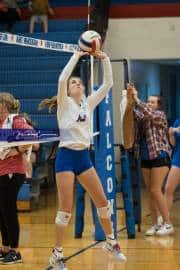 Volleyball: North Henderson at West Henderson (BR3_9641)