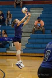 Volleyball: North Henderson at West Henderson (BR3_9683)