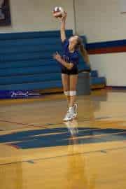 Volleyball: North Henderson at West Henderson (BR3_9781)