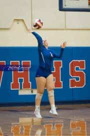 Volleyball: North Henderson at West Henderson (BR3_9801)