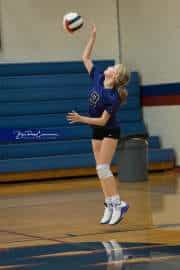 Volleyball: North Henderson at West Henderson (BR3_9847)