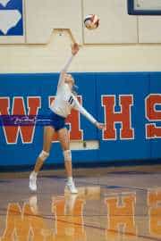 Volleyball: North Henderson at West Henderson (BR3_9851)