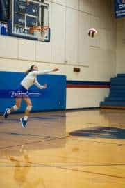 Volleyball: North Henderson at West Henderson (BR3_9998)