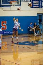 Volleyball: North Henderson at West Henderson (BR3_0252)