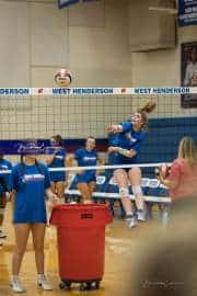 Volleyball: North Henderson at West Henderson (BR3_0468)
