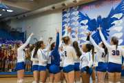 Volleyball: North Henderson at West Henderson (BR3_0585)