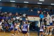 Volleyball: North Henderson at West Henderson (BR3_0620)