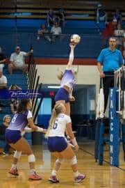 Volleyball: North Henderson at West Henderson (BR3_0638)