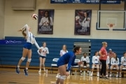Volleyball: North Henderson at West Henderson (BR3_0756)