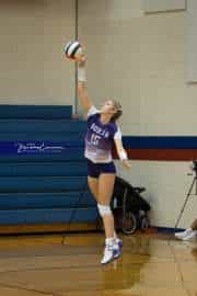 Volleyball: North Henderson at West Henderson (BR3_0919)