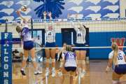 Volleyball: North Henderson at West Henderson (BR3_0988)