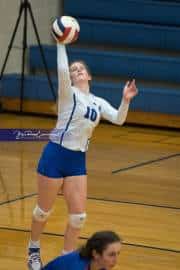 Volleyball: North Henderson at West Henderson (BR3_1241)