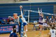 Volleyball: North Henderson at West Henderson (BR3_1396)