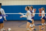 Volleyball: North Henderson at West Henderson (BR3_1503)