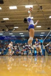 Volleyball: North Henderson at West Henderson (BR3_1858)