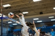 Volleyball: North Henderson at West Henderson (BR3_2363)