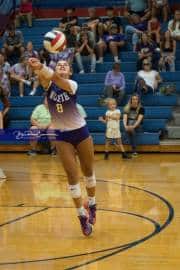 Volleyball: North Henderson at West Henderson (BR3_2369)
