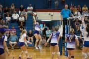 Volleyball: North Henderson at West Henderson (BR3_2381)