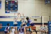 Volleyball: North Henderson at West Henderson (BR3_2562)
