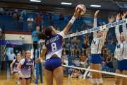 Volleyball: North Henderson at West Henderson (BR3_2617)