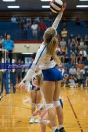 Volleyball: North Henderson at West Henderson (BR3_2717)