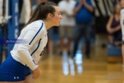 Volleyball: North Henderson at West Henderson (BR3_2766)